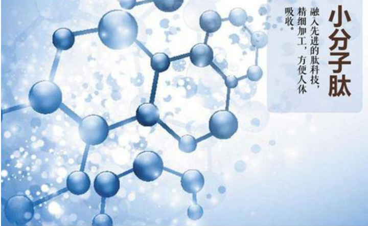 小分子肽能降血糖吗.png