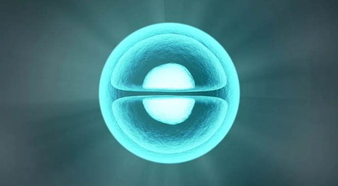 小分子肽是生命的动力.png