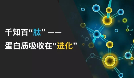 小分子肽有什么作用与禁忌.png