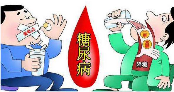 小分子肽特别是苦瓜多肽辅助降血糖效果明显