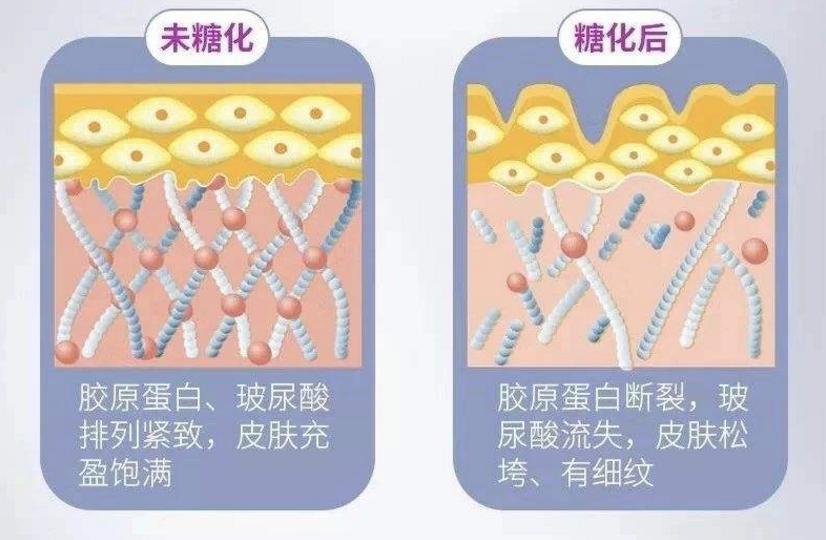 苦瓜肽的功效，及适用人群