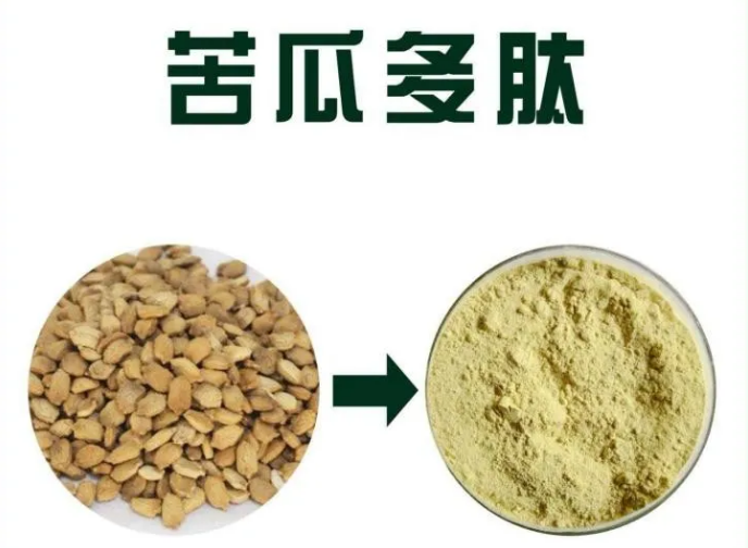 苦瓜多肽作用机理，安全稳定的调节血糖