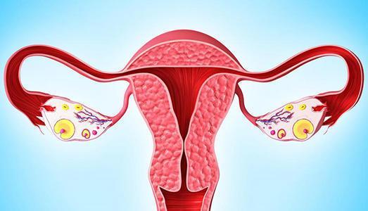 卵巢保养怎么保养效果好？卵巢保养怎么调理？卵巢保养可以吃小分子肽吗？