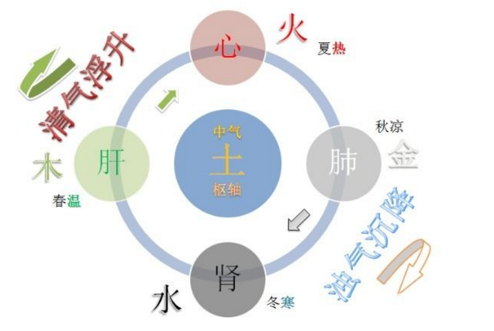 怎么才算是法于阴阳，怎么养生效果好