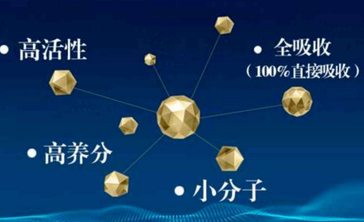 小分子肽品牌.png
