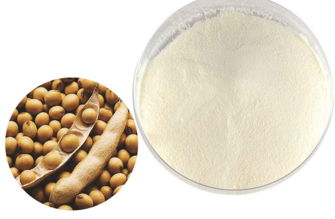 大豆肽的作用.png
