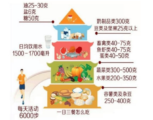 怎么吃才算健康？这个资料最有权威！