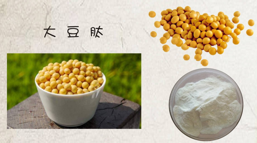 喝大豆肽有哪些作用，大豆肽对降血糖效果好吗
