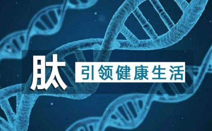 补肽真的好吸收吗？喝肽会导致血糖升高吗？