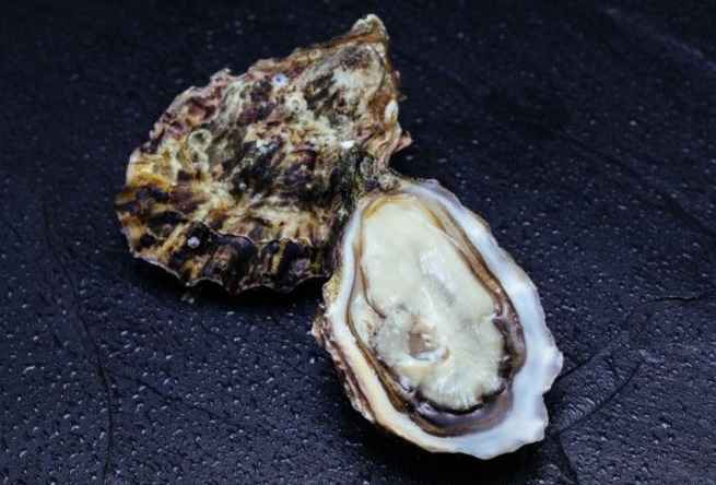 牡蛎肽能补肾吗？常吃牡蛎对糖尿病和降血糖好吗？