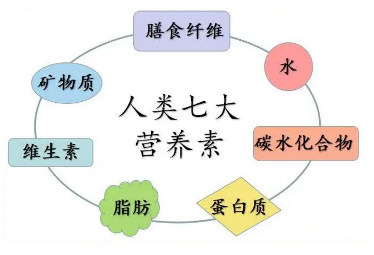为什么要重视营养？营养是生命存在的基础