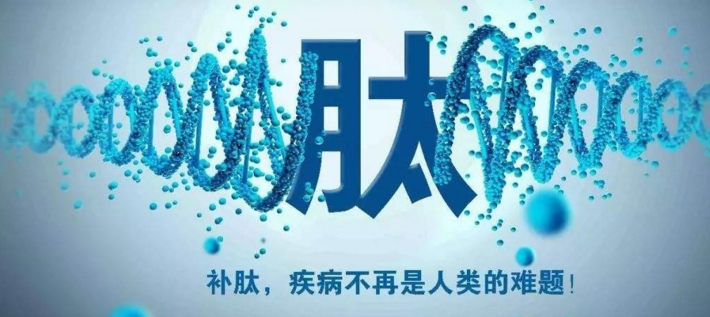 肽与失眠.png