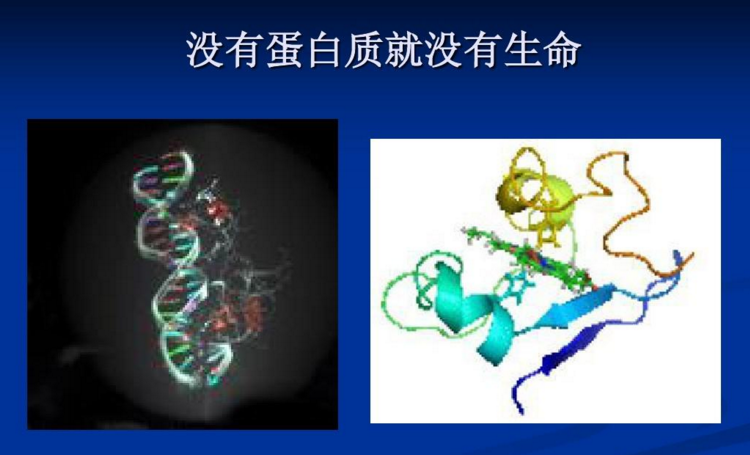 补肽对糖尿病人有什么意义，小分子肽品牌排名大全