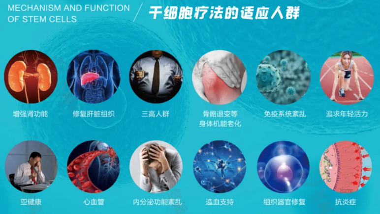 干细胞能治疗肺纤维化吗.png