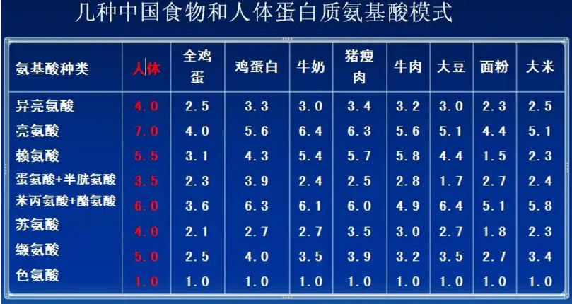 氨基酸模式是什么意思.png