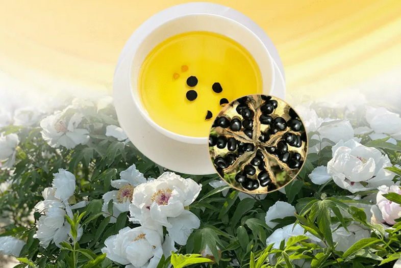 牡丹肽智力多亚麻酸.png