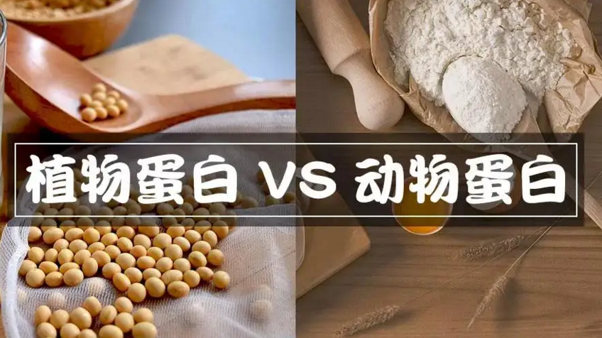 动物肽安全吗，苦瓜多肽降血糖