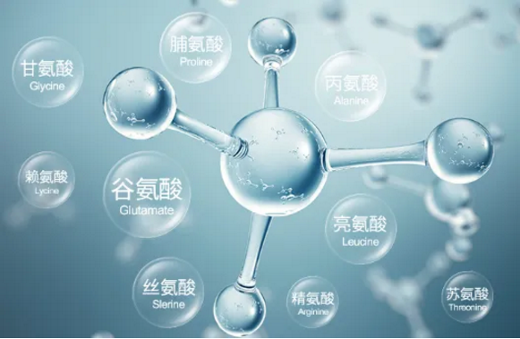 怎么通过氨基酸分选择优质蛋白