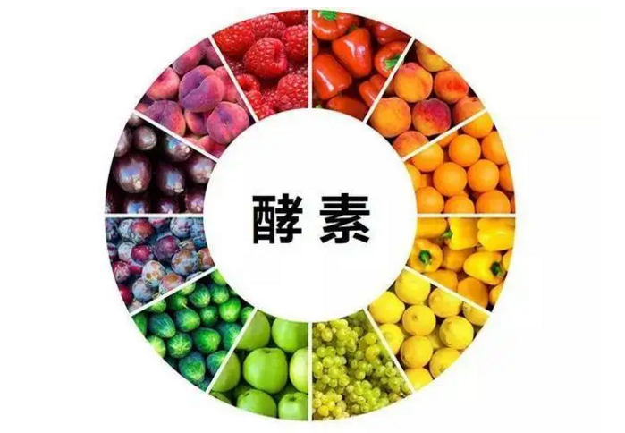 喝酵素对糖尿病好吗？能不能降血糖