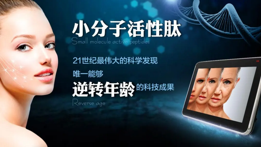 小分子肽与逆转衰老.png