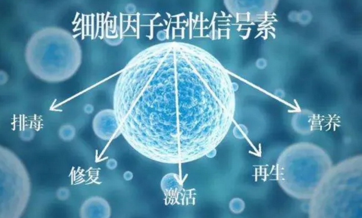 小分子肽对肠道便秘的作用，苦瓜多肽与便秘