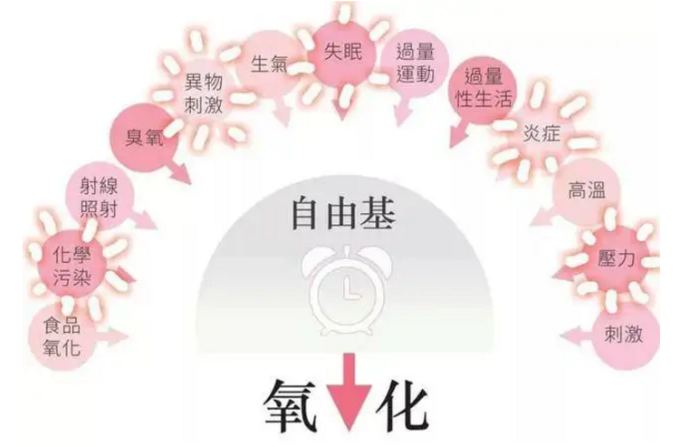 维生素E对胚胎发育和生殖的作用及抗衰老