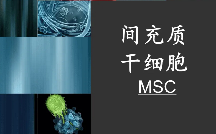 间充质干细胞注射对糖化血红蛋白指标和C肽水平的改善