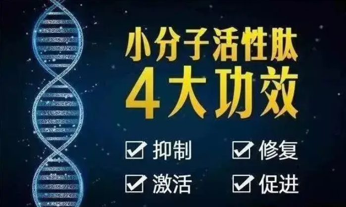 大豆肽与免疫力.png