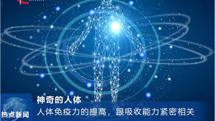 肽对提高免疫力的作用.png
