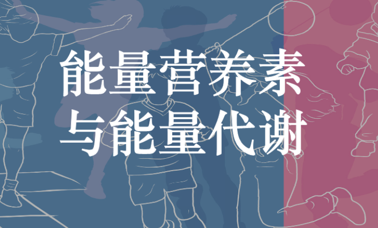 人体能量的来源——太阳