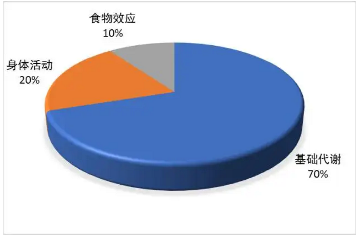 运动与能量？体劳动与能量消耗