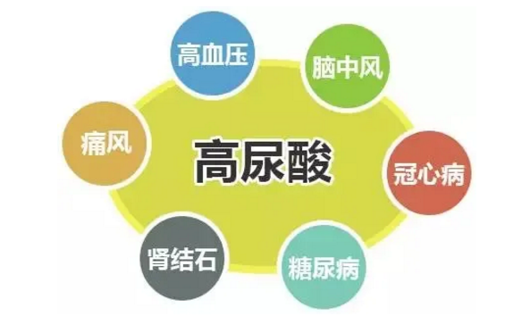 痛风病人能吃葡萄吗？葡萄对降尿酸有帮助吗？