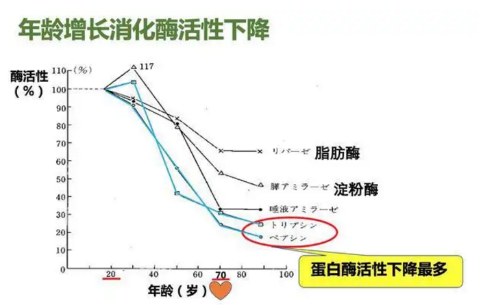 蛋白质好消化吗.png