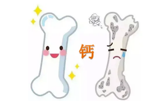 钙对痛风好吗.png