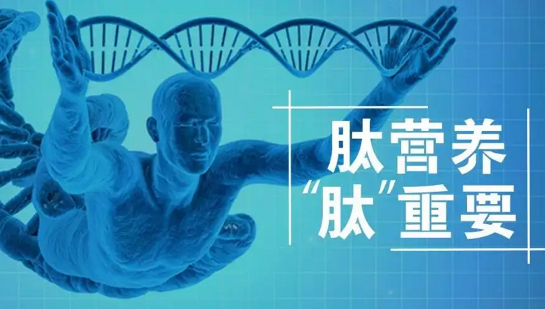 肽真的比蛋白质好吗？喝小分子肽真的可以降血糖吗