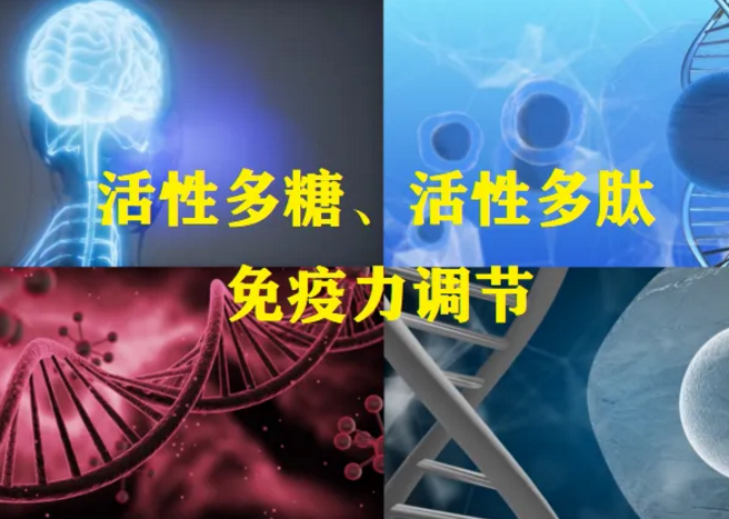 复合真菌多糖对免疫力好吧？多糖对免疫力的作用