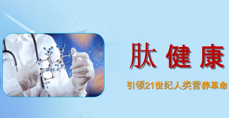 小分子活性低聚肽对细胞的作用途径