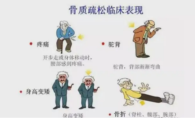 老年人喝肽能增加骨密度吗？小分子肽增加骨密度多久能看到效果