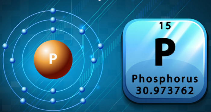 磷对对身体有哪些作用，身体里缺乏磷的危害