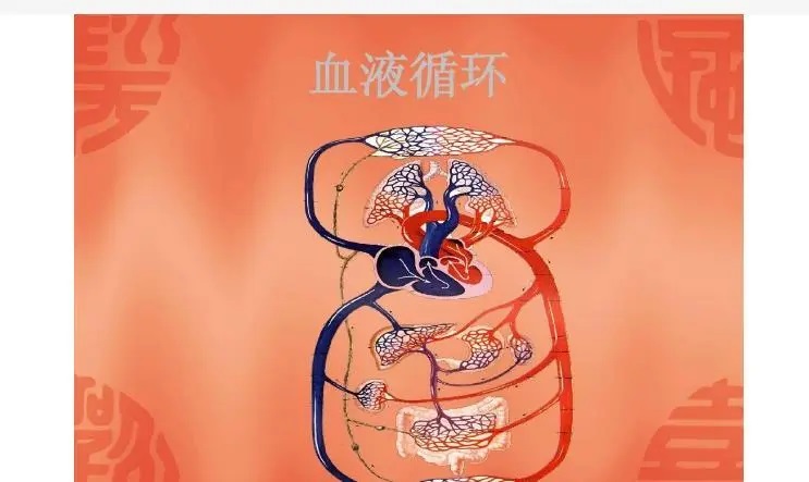 血液循环不好吃什么,血液循环不好怎么回事?