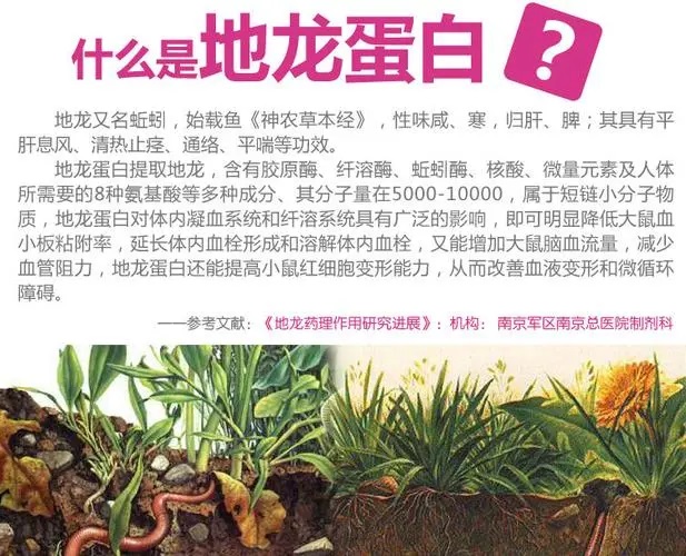 地龙蛋白真的能治病吗,地龙蛋白的主要作用.