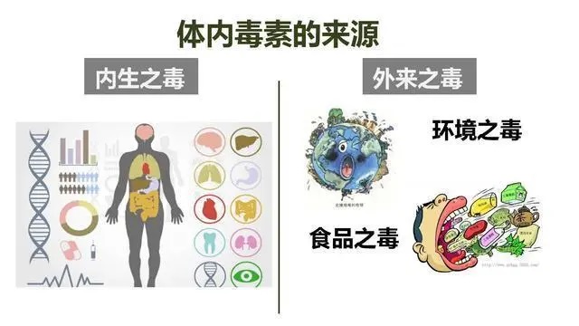 人体血液垃圾毒素有哪些,怎样清理身体垃圾毒素?