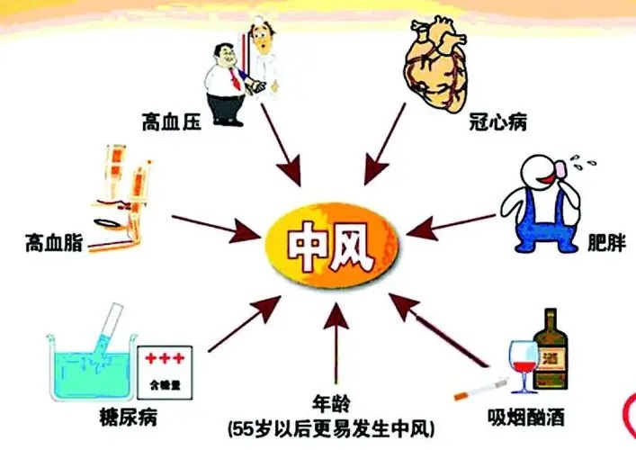 中风脑血栓吃地龙蛋白有作用吗?