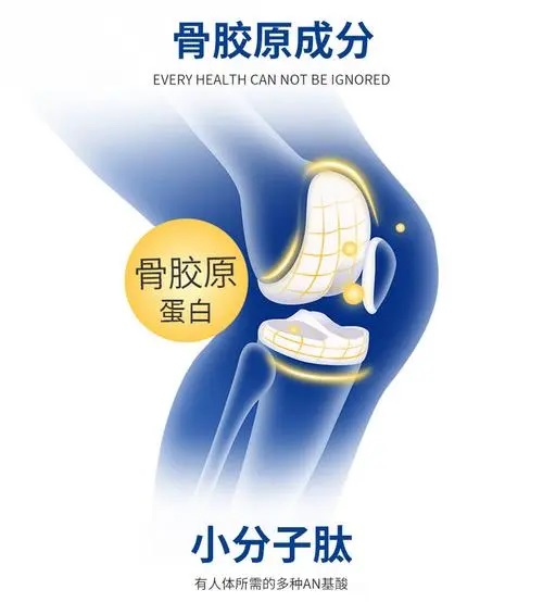 骨胶原蛋白肽具有补筋骨和防止骨折的效果吗？