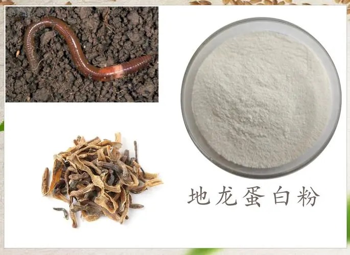地龙蛋白能溶斑块吗?