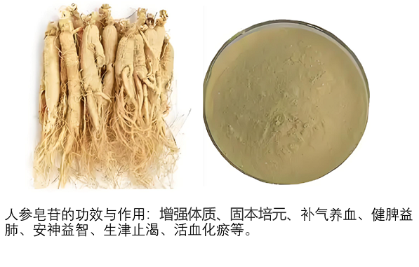 人参皂苷对心脏好吗,人参皂苷对心血管的作用。