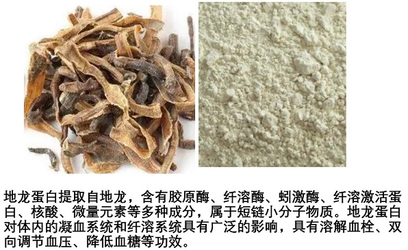 地龙蛋白肽对脑血栓后遗症有用吗,地龙蛋白肽溶栓效果怎么样？