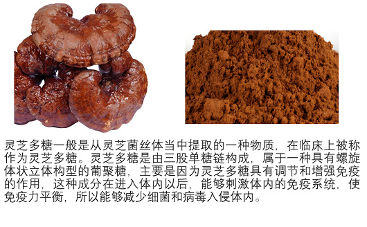 灵芝多糖对人体的作用,灵芝多糖能抗肿瘤吗？
