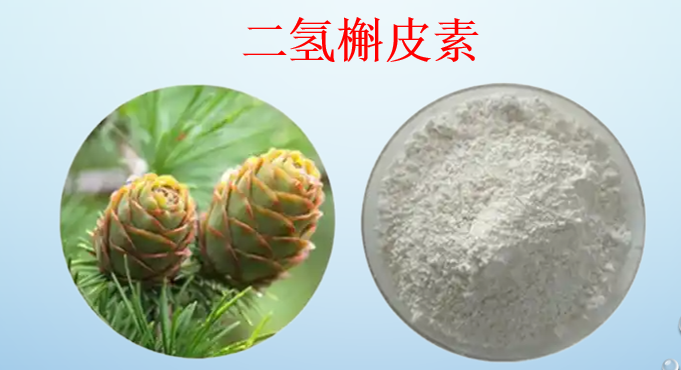 二氢槲皮素有什么用,二氢槲皮素用法及用量.
