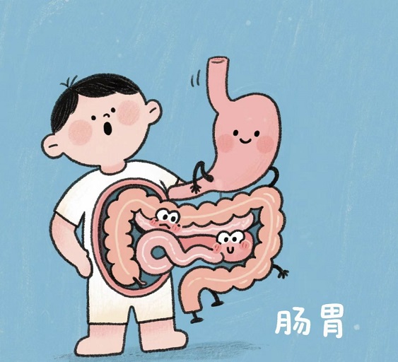 肽对胃病有什么效果,肠胃不好喝什么肽好？